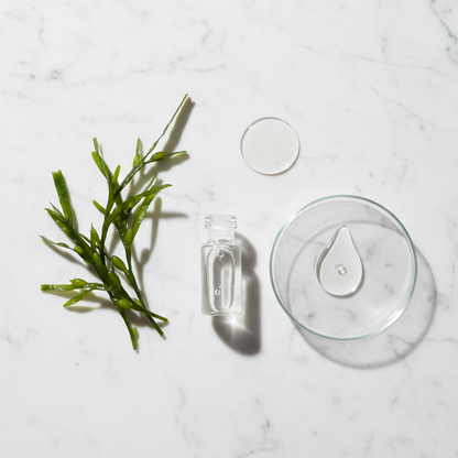 ELYON Anti-Dark Circle Eye Cream – ingrédients actifs Peptides Algues Marines Squalane Glycérine
